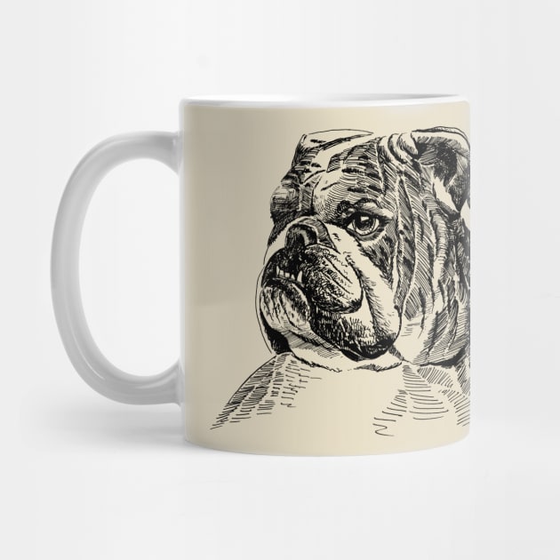 english bulldog by VicaVeresk